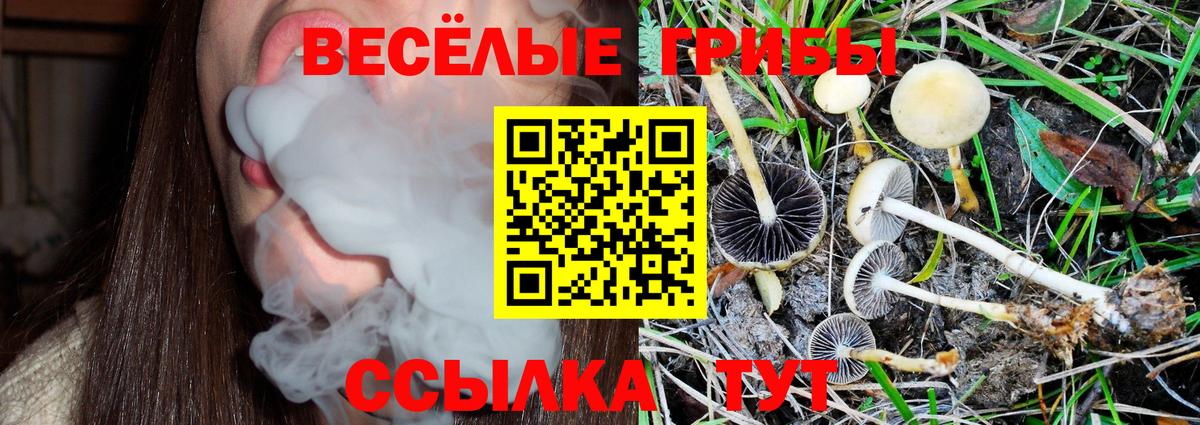 Псилоцибиновые грибы мухоморы  Вход с VPN  Новоалтайск  Галлюциногенные грибы Cubensis 