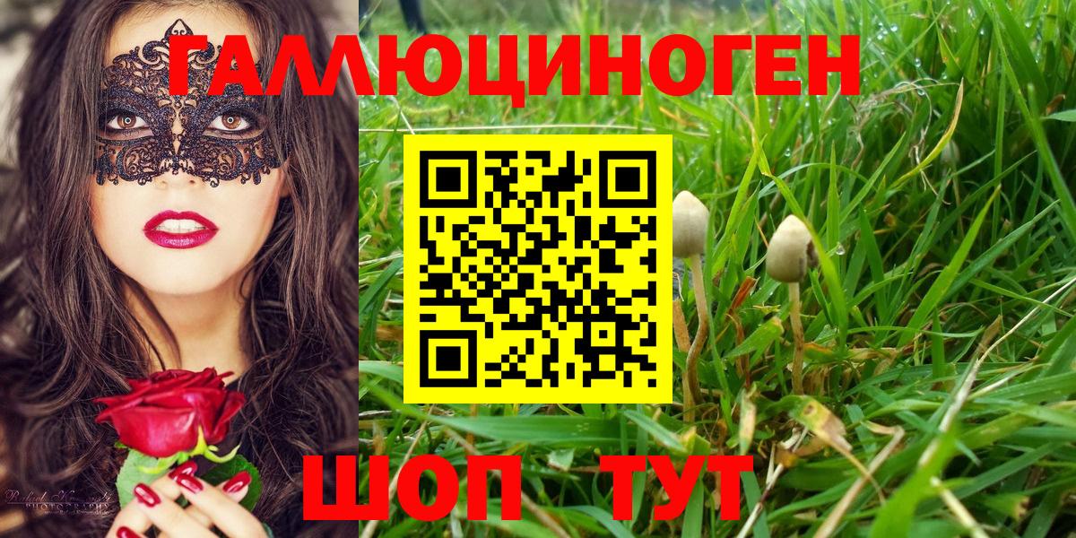 Псилоцибиновые грибы прущие грибы Новоалтайск