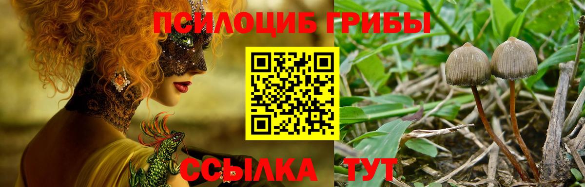 АМФЕТАМИН Новоалтайск